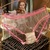 Transparent Women Sexy Panties Lace Thongs Ultra-thin Mesh Briefs Ice Silk Seamless Breathable Underpants Soft Bow Underwear